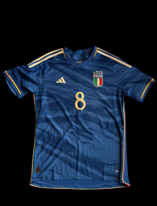 Italy 2023/2024 Home Jorginho #8 Player version Authentic Jersey