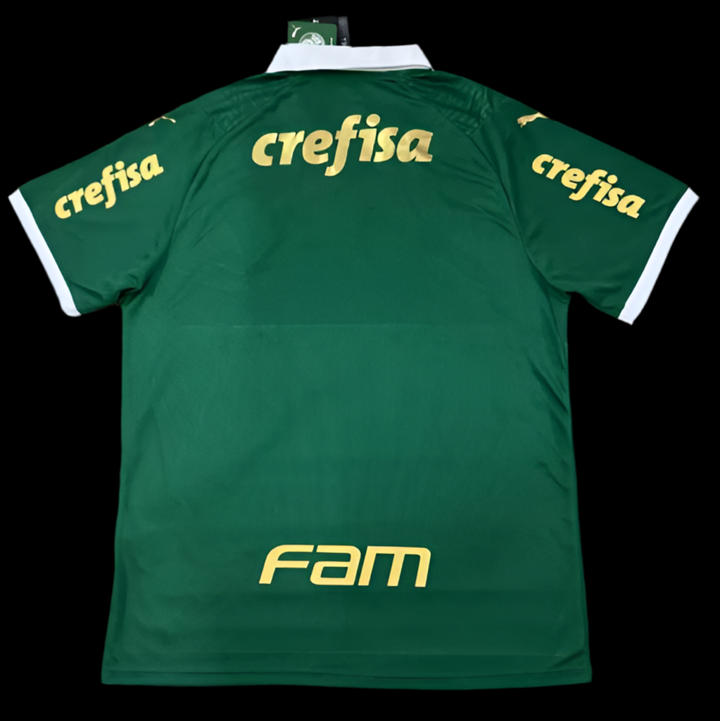 Palmeiras 2024/2025 Home Jersey