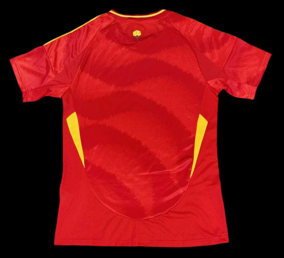 Spain 2024/2025 Home Jersey fan version